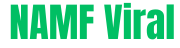 namfviral Games